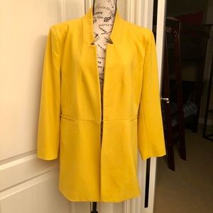 Zara Jacket/Blazer